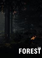 скачать Трейнер/Trainer для The Forest (+7) [0.8] бесплатно